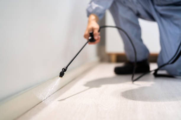 Licensed Termite Control service in Monument Beach, MA - Show Me Pest Control